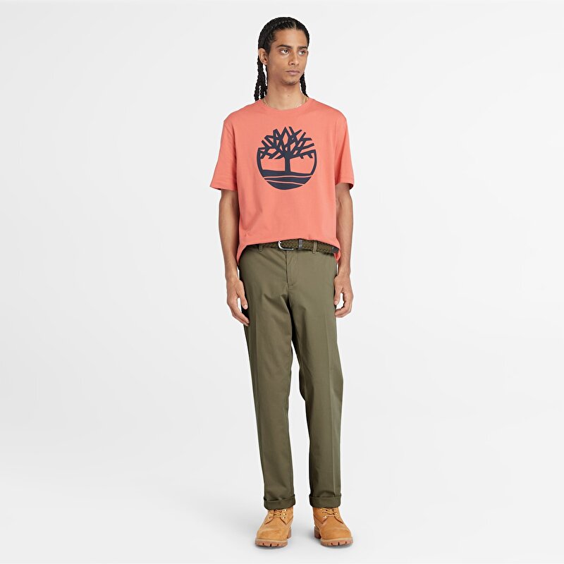 Erkek Squam Lake Twill Yeşil Chino Pantolon